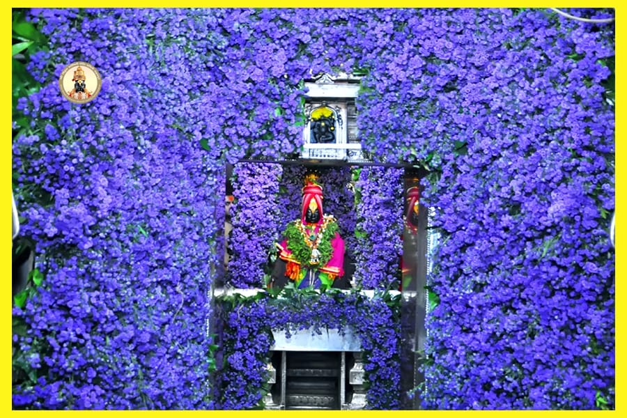 ब्ल्यू डायमंड या फुलांनी श्री विठ्ठल आणि रुक्मिणी मातेचा गाभारा,सोळखांबी,प्रवेशद्वार आदी ठिकाणी आकर्षक फुलांनी सजविले आहे.