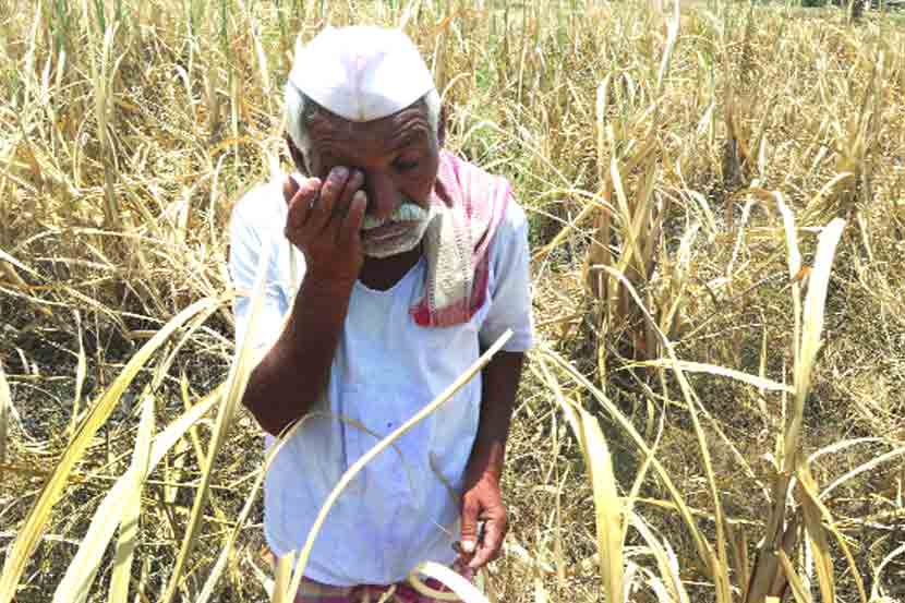 संग्रहित प्रतीकात्मक छायाचित्र