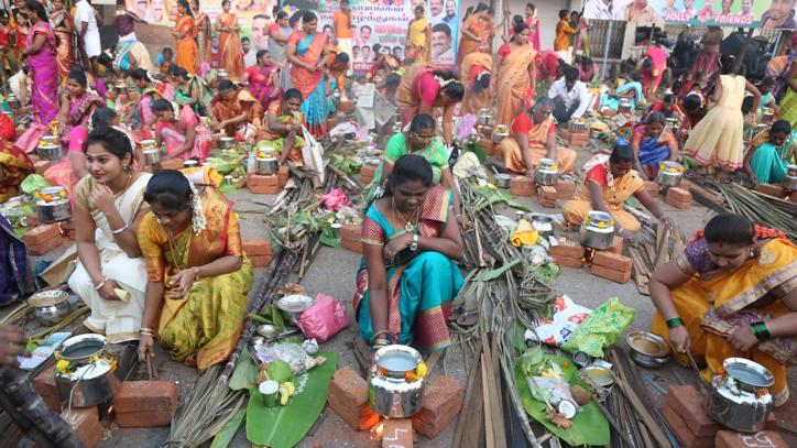 महाराष्ट्रात पोळ्याला बैलांची पूजा केली जाते. तामिळनाडूत पोंगलला बैलाची पूजा केली जाते. बैलांना धुतले जाते. त्यांना सजवून त्यांची पूजा करण्यात येते.