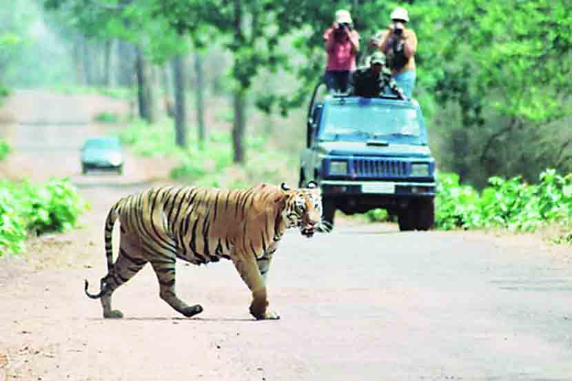 ताडोबा अंधारी व्याघ्र प्रकल्प हा ताडोबा अभयारण्याचे क्षेत्र व अंधारी अभयारण्याचे क्षेत्र मिळून संयुक्तपणे बनलेला आहे. हे अभयारण्य विदर्भातील चंद्रपूर जिल्ह्यात आहे. येथील मुख्य आकर्षण व्याघ्र दर्शन व जंगल सफारी आहे.