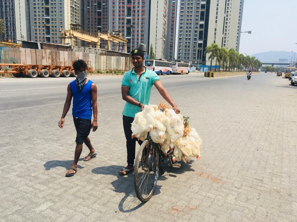वस्तुंची टंचाई निर्माण होईल या भितीपोटी नागरीक अन्नधान्यांचा साठा करुन ठेवण्यावर भर देत आहेत.
