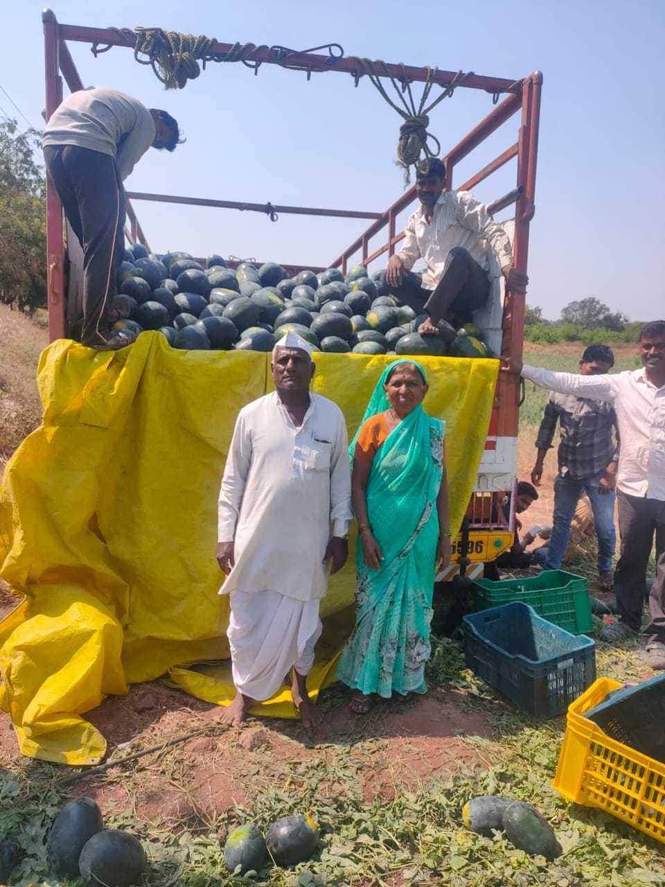 रेवणसिद्ध गुरुसिद्ध कोरे यांनी अवघ्या ४० दिवसांत कलिंगडाचं तीन लाख ६० हजारांचं उत्पन्न घेतलं आहे.