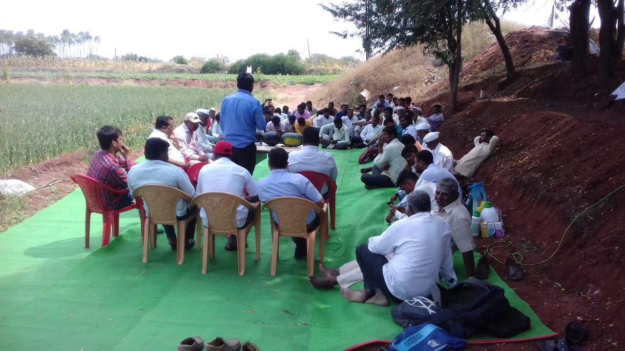 ८ ते १० दिवसांच्या अंतराने खतांची मात्रा, योग्य वेळी पाणी आणि रासायनिक खते व औषधांची मात्रा दिली. त्यामुळे केवळ दोन महिन्यातच कलिंगड बाजारात विक्रीसाठी आले.