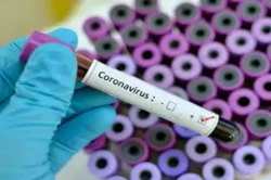 Coronavirus : समजून घ्या सहजपणे… किती वेळ लागेल लस शोधायला?