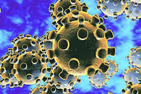 करोना व्हायरसच्या प्रादुर्भावामुळे जगभरात भीतीचे वातावरण आहे. सुमारे दोन लाखांहून अधिक लोकांना करोना व्हायरसचा फटका बसला आहे.