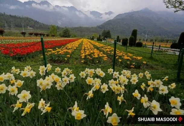 गार्डनसमोरील पर्वतरांगा निसर्गाचं मनमोहक रुप पाहण्यासाठी यंदा पर्यटकच नसल्यामुळे इथल्या व्यवसायावरही परिणाम झाला आहे.
