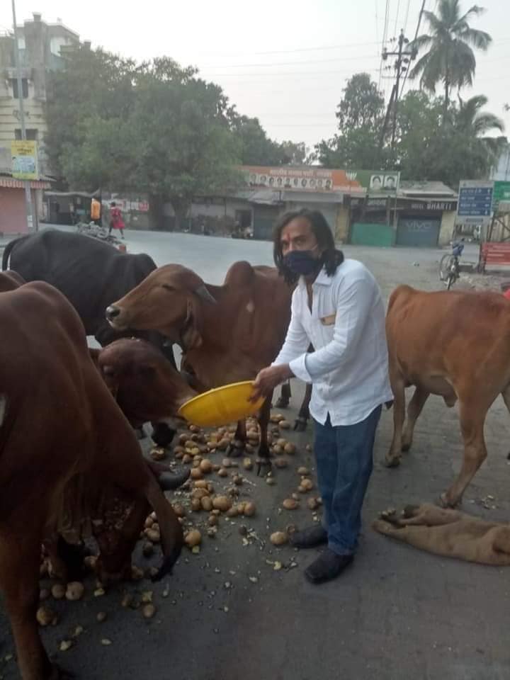 माणसंच नाहीत तर रस्त्यावर फिरणाऱ्या मुक्या प्राण्यांचीही तुलसी जोशी तितकेच काळजी घेत आहेत.