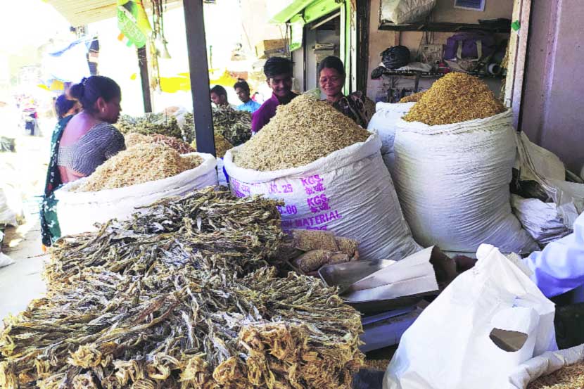 सुकी मासळी व्यावसायिकही चिंताग्रस्त