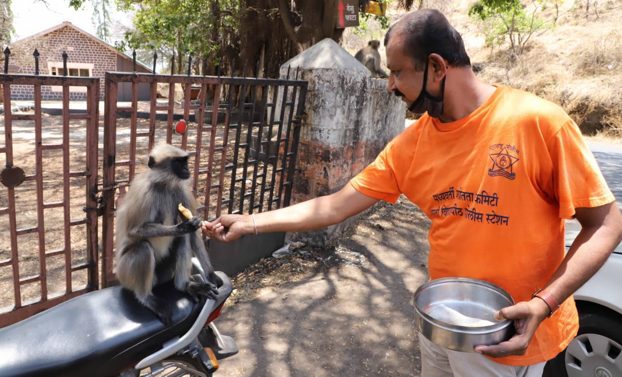 उन्हाच्या प्रखर झळांमध्ये पक्षी व प्राण्यांची जगण्यासाठीची ससेहोलपट थांबवण्यासाठी तुम्हीसुद्धा घराबाहेर किंवा खिडकीजवळ पक्षी-प्राण्यांसाठी पिण्याचे पाणी आवर्जून ठेवा.