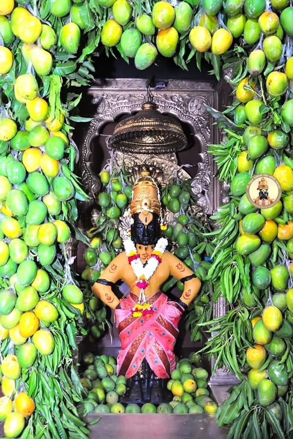 विठ्ठलाच्या चरणी श्री विठ्ठल भक्त हरीश बैजल (अतिरिक्त पोलीस महानिरीक्षक महाराष्ट्र सायबर सेल) अजय सालुखे (उद्योगपती पुणे), उमेशभाई भुवा (सांगली) दीपकभाई शहा (सांगली) सुनील उंबरे (पंढरपूर) या भक्तांनी आंब्याची पूजा केली