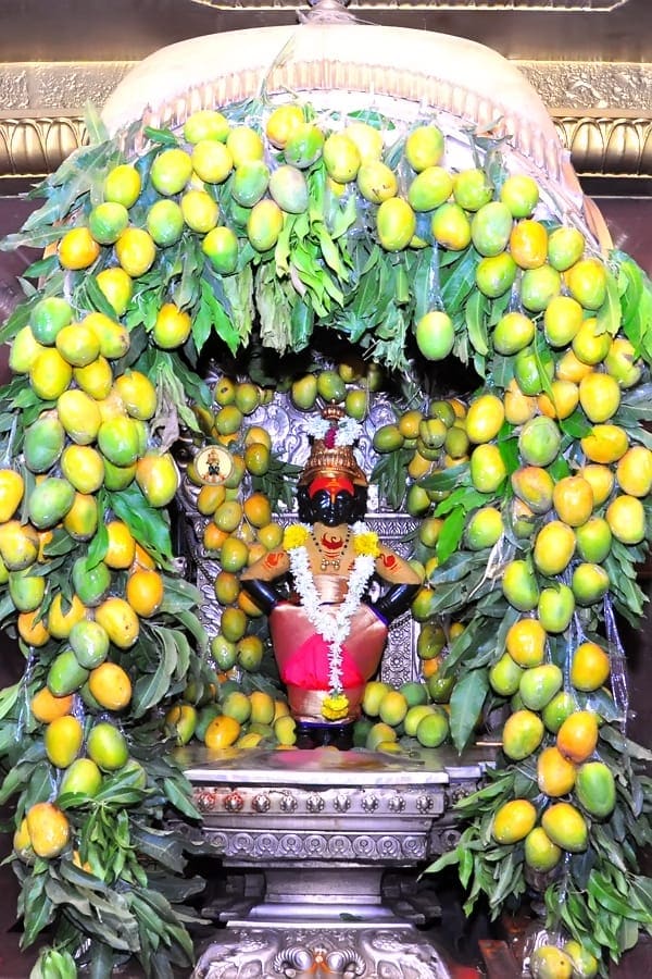 फळांच्या राजाने विठ्ठल-रुक्मिणीची सजावट केल्यामुळे देवाचे हे लोभस रुप आज अधिकच खुलून दिसत आहे.
