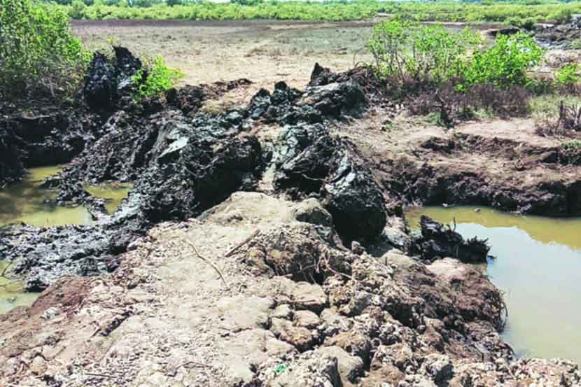 भूमाफियांकडून पाणथळ जागेवर अतिक्रमण