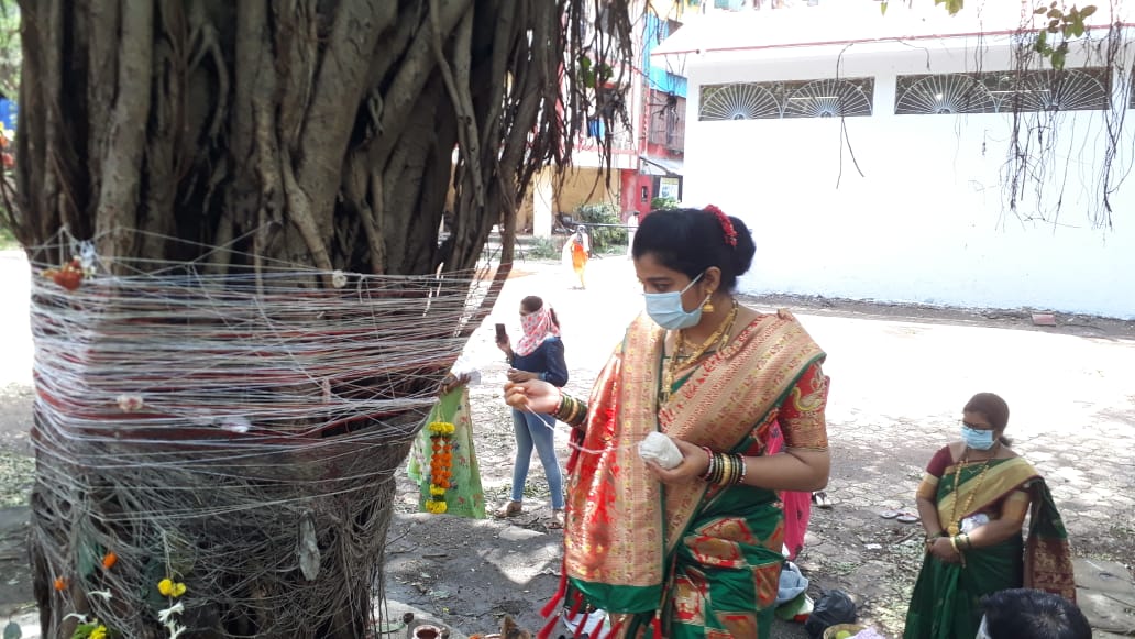 आजच्या दिवशी स्त्रिया वटपौर्णिमा व्रत करतात. या व्रतादरम्यान विवाहित स्त्रिया आपल्या पतीला उत्तम आरोग्य लाभावे, दीर्घायुष्य प्राप्त व्हावे म्हणून वडाच्या झाडाची पूजा करतात. (एक्स्प्रेस फोटो - नरेंद्र वासकर)