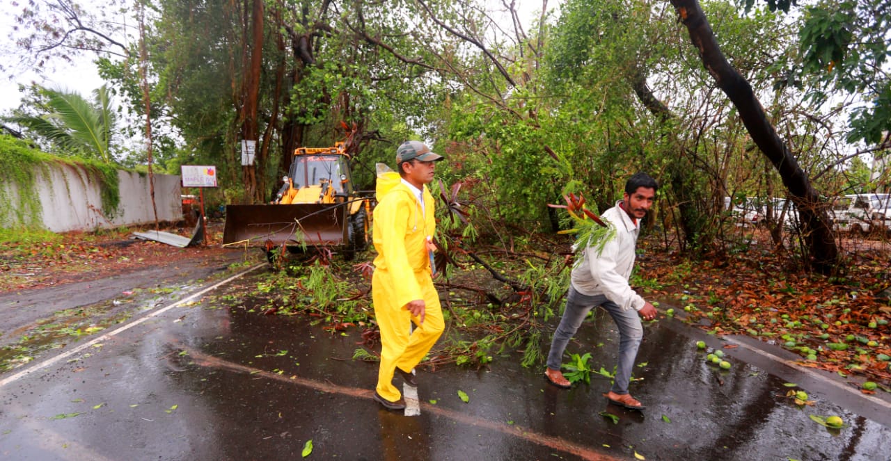 प्रमुख मार्गांवर मोठी झाडं पडल्याने वाहतुक सेवा ठप्प झाली होती.