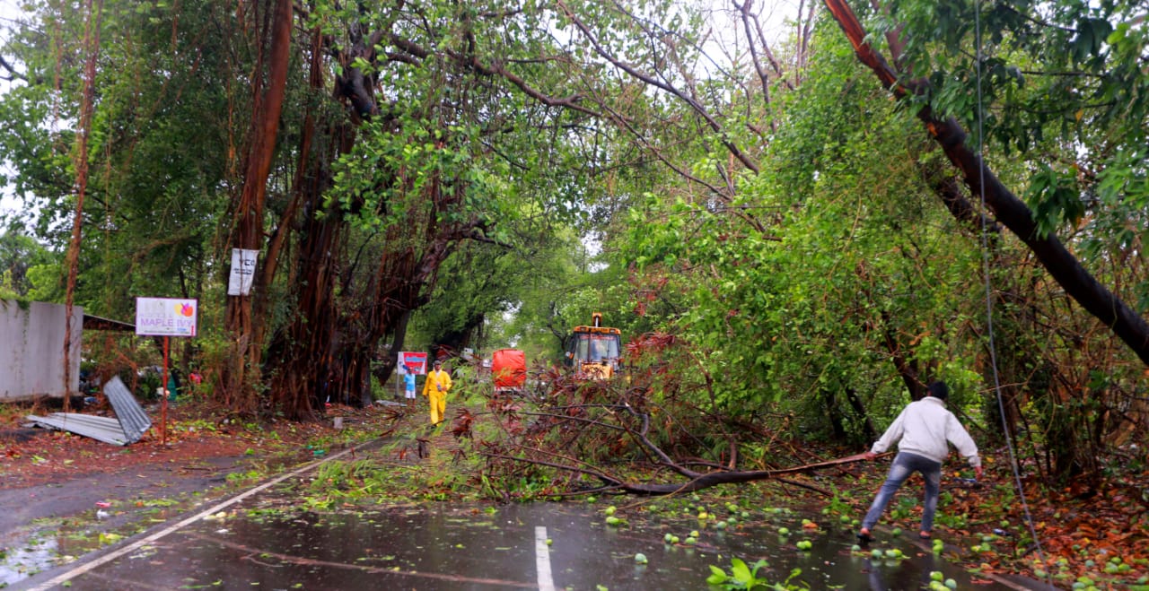 वादळामुळे मालमत्तांचे मोठे नुकसान झाले. वृक्ष उन्मळून पडल्याने रस्ते वाहतुक विस्कळीत झाली.