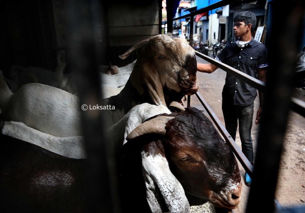 बकरी ईदच्या वेळी मुस्लीम बांधवांनी नमाज मस्जिद अथवा ईदगाह अथवा सार्वजनिक ठिकाणी अदा न करता, आपल्या घरीच अदा करावा.