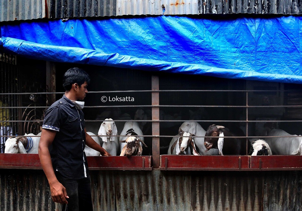 प्रतिबंधित (Containment) क्षेत्रामध्ये सध्या लागू करण्यात आलेले निबंध कायम राहतील. त्यामध्ये बकरी ईद निमित्त कोणतीही शिथीलता देता येणार नाही
