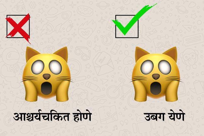 आश्चर्यचकीत होणे नाही तर उबग येणे