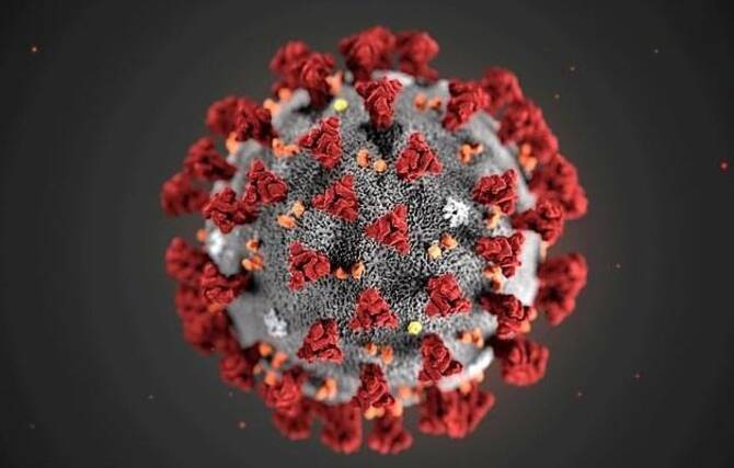 करोना व्हायरसची लागण झाल्यानंतर शरीरात तयार होणाऱ्या अँटीबॉडीजमुळे रुग्ण त्यातून बरा होतो.