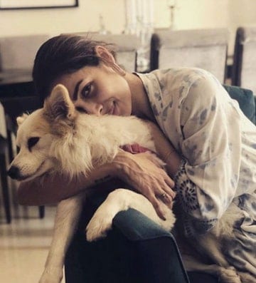 मलायका ही सोशल मीडियावर प्रचंड सक्रिय असते. सोशल मीडियावर व्हायरल होणाऱ्या फोटो आणि व्हिडीओजच्या माध्यमातून ती कायम चर्चेत असते.