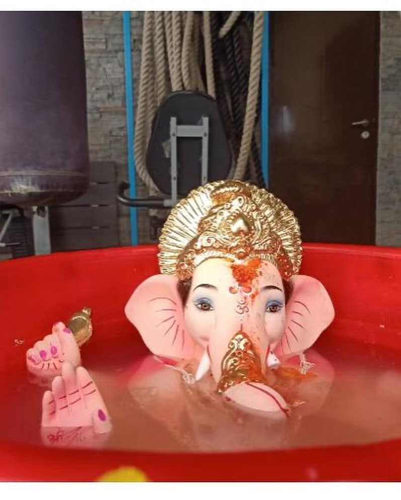 काही तासांत शेकडो नेटकऱ्यांनी या फोटोंवर आपल्या प्रतिक्रिया दिल्या आहेत. (फोटो सौजन्य इन्स्टाग्राम)