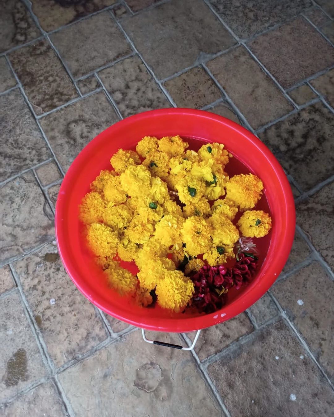 हृतिक आणि त्याच्या घरातील गणपती बाप्पा (फोटो सौजन्य इन्स्टाग्राम)