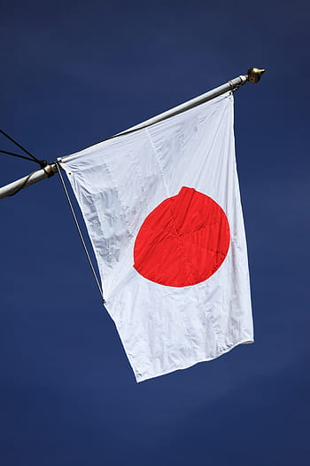 आठव्या स्थानी आशियामधील जपान हा देश आहे. जपानकडे ७६५ टन सोनं आहे.