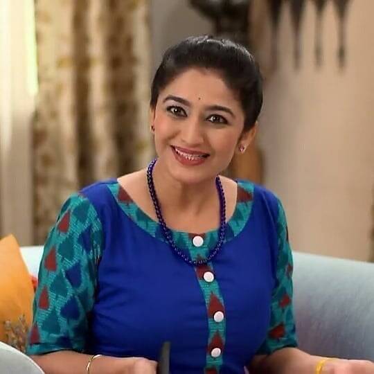 नेहा मेहताने अनेक वर्ष गुजराती रंगमंचावर काम केले आहे.