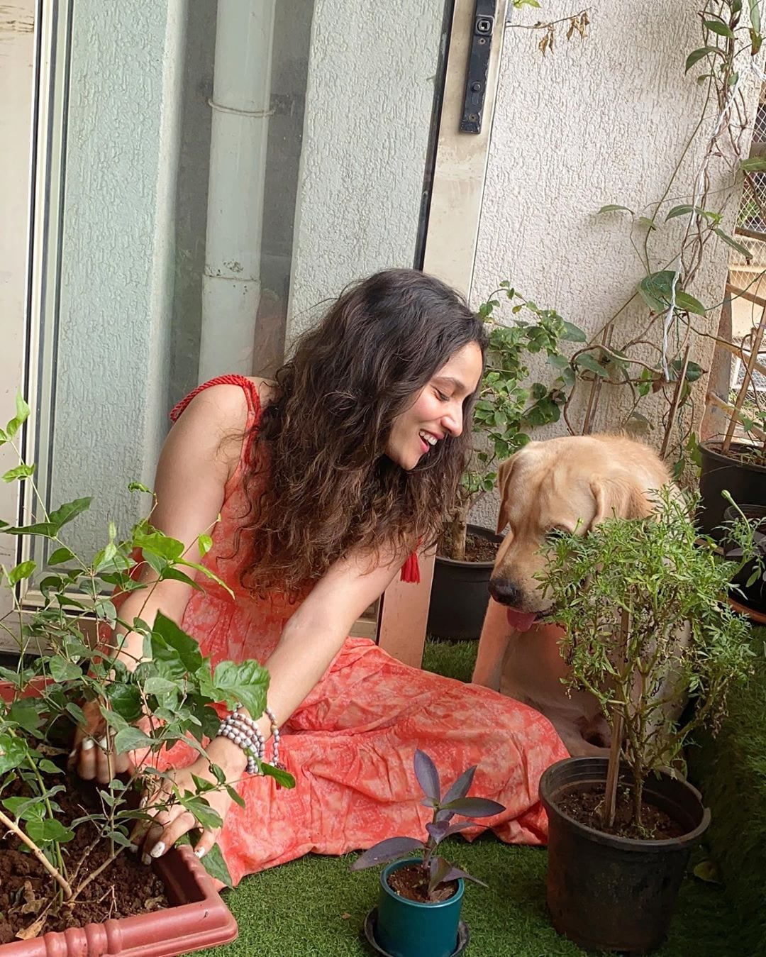 तिने शनिवारी ट्विट करत 'उद्याच्या हॅशटॅग plants4ssr विषयी विसरु नका' असे म्हटले होते.