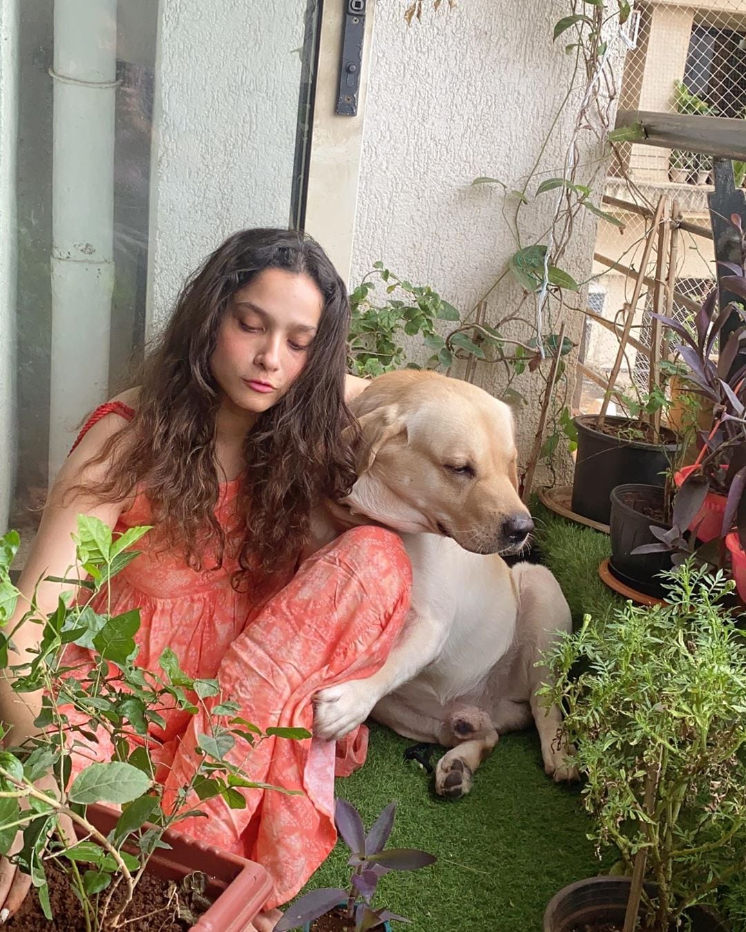 आता सुशांतचे हे स्वप्न एक्स गर्लफ्रेंड अंकिता लोखंडे पूर्ण करताना दिसत आहे.