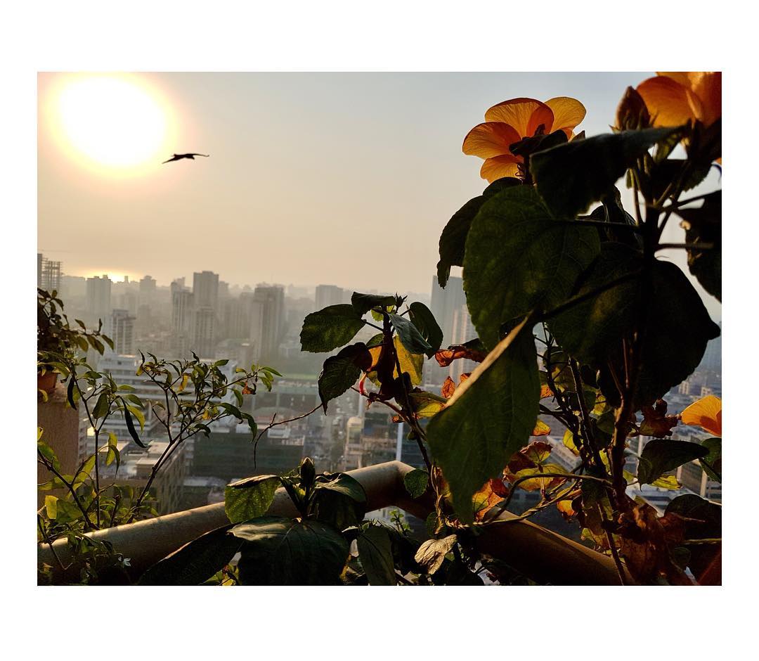प्राची देसाईचे १० कोटी रुपयांचे आलिशान घर, पाहा फोटो..