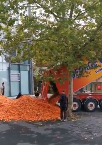 तर काहींनी मात्र कलाकारांचे कौतुक करत त्यांनी शेतकऱ्यांचा प्रश्न शहरातील लोकांसमोर मांडल्याबद्दल आभार मानले आहेत. (फोटो सौजन्य: Twitter/xenogothic वरुन साभार)