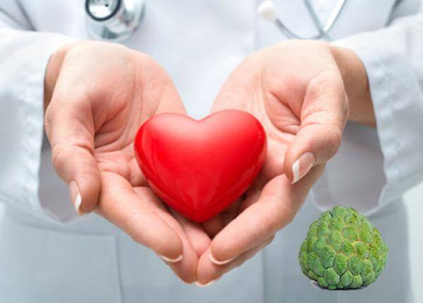हृदयाशीसंबंधीत समस्या कमी होतात. हृदयाचं आरोग्य चांगलं राहतं.