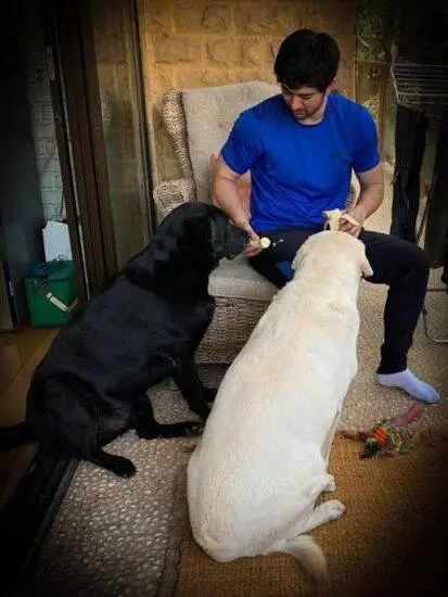 सनी देओल यांचा मुलगा करन घरामध्ये पाळीव कुत्र्यांसोबत खेळतानाचा फोटो. ( All Photos : Social Media )