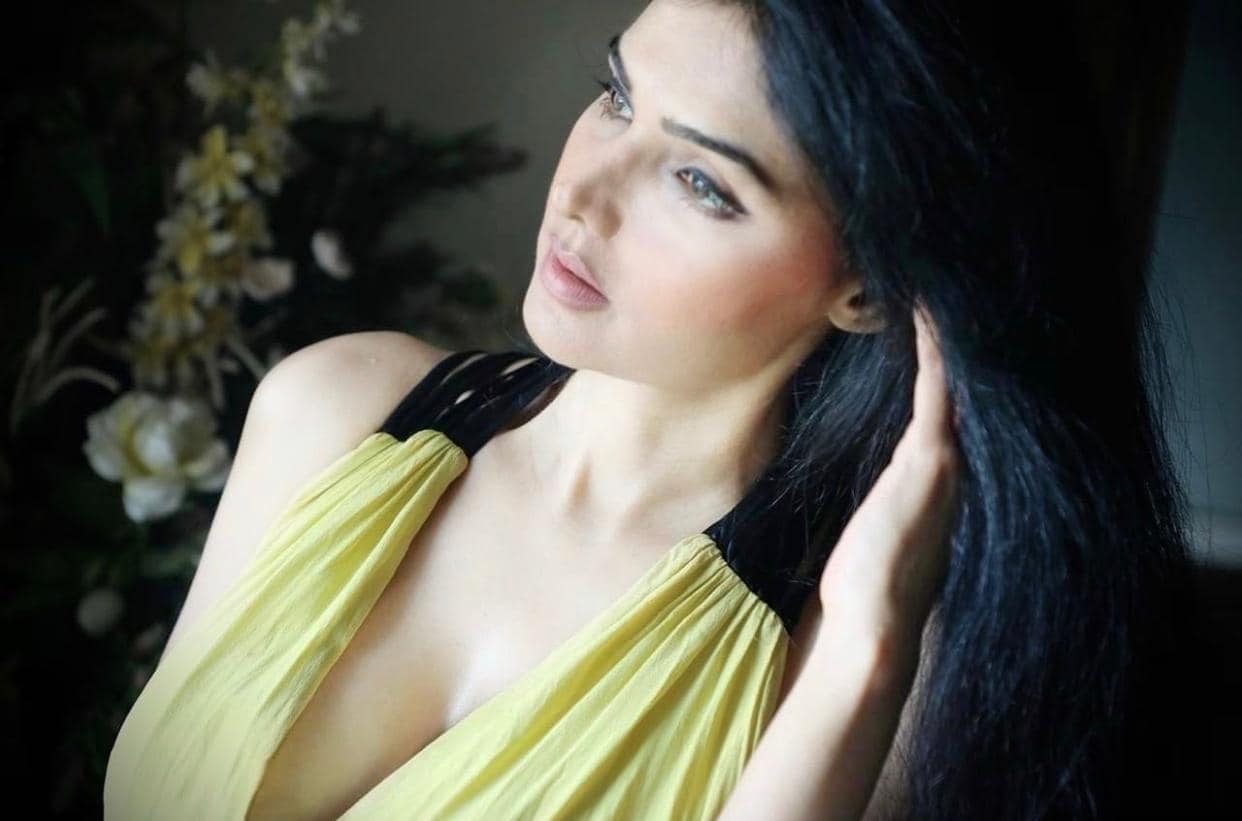 तृप्तीचे सोशल मीडियावर लाखो फॉलोअर्स आहेत.