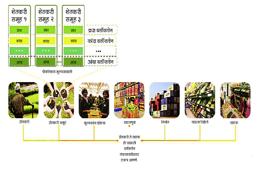 शेतकरी समूहांची / शेतकरी उत्पादक कंपन्यांची ब्लॉकचेन तंत्रव्यासपीठावरील अशी मूल्यसाखळी माहितीच्या दृष्टीने पारदर्शक असेल..
