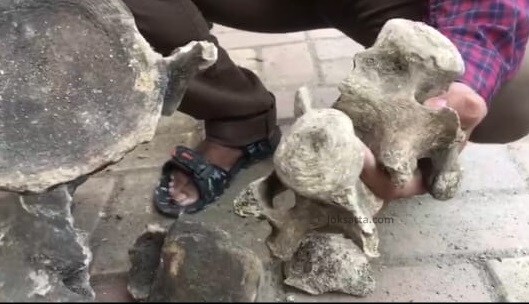काही इतिहास तज्ज्ञांच्या सांगण्यानुसार दोनशे वर्षांपूर्वी सध्याचा मंडई परिसर हा मैदानी भाग होता. येथे सर्कशीचे तंबू लावले जायचे. त्यामुळे या हाडांचे नक्की वय काय आहे, ती कधीपासून येथे आहेत याचा शोध लागल्यानंतरच हाडांबद्दल ठोसपणे सांगता येईल.