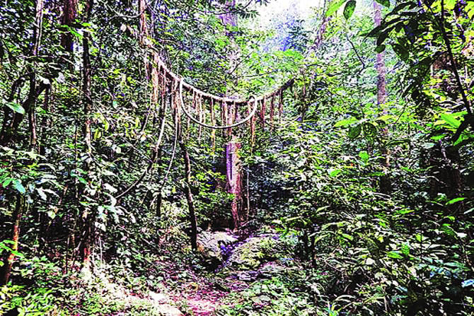 मानवी समाजातील संस्कृती, श्रद्धा, आहार, आचारविषयक रीती या संबंधित देश, काळानुसार वेगवेगळ्या अंगांनी विकसित झाल्या.