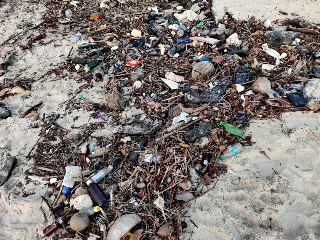 समुद्रकिनाऱ्यावर पडलेल्या कचऱ्यामध्ये दारुच्या बाटल्या, चप्पला आणि इतर अनेक गोष्टींचा समावेश असल्याचं त्यांना दिसलं.