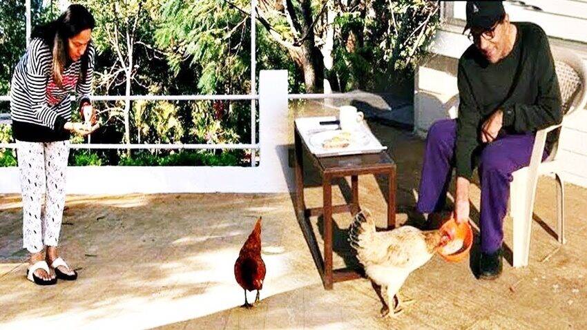 धर्मेंद्र गेली २० वर्ष या ठिकाणी इतर मजुरांसोबत शेती करत आहेत.