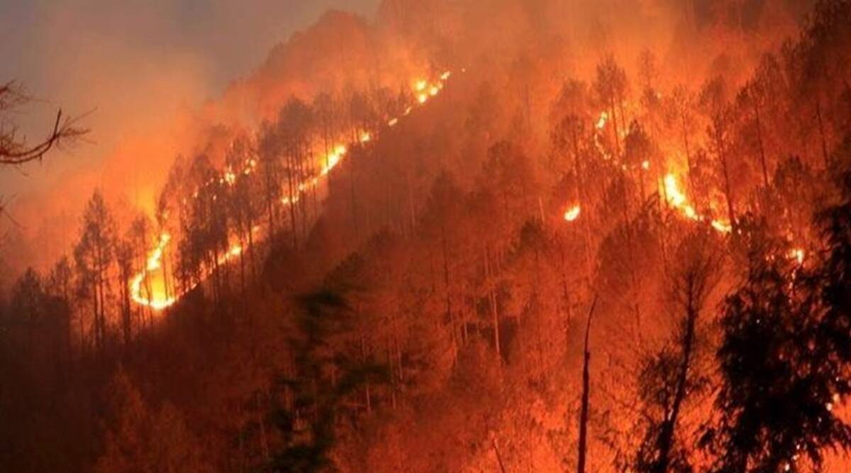 २०२१ सालाबद्दल बोलताना बाबा वेंगा यांनी जगभरामध्ये मोठ्याप्रमाणात प्रलयाच्या घटना घडतील. जगभरातील अनेक देशांमध्ये मोठ्या प्रमाणात नैसर्गिक संकटं येतील असा इशाराही त्यांनी २०२१ संदर्भात दिला आहे. डेली मेल युकेने त्यांच्या या भविष्यवाणीसंदर्भात बातमी दिली आहे.