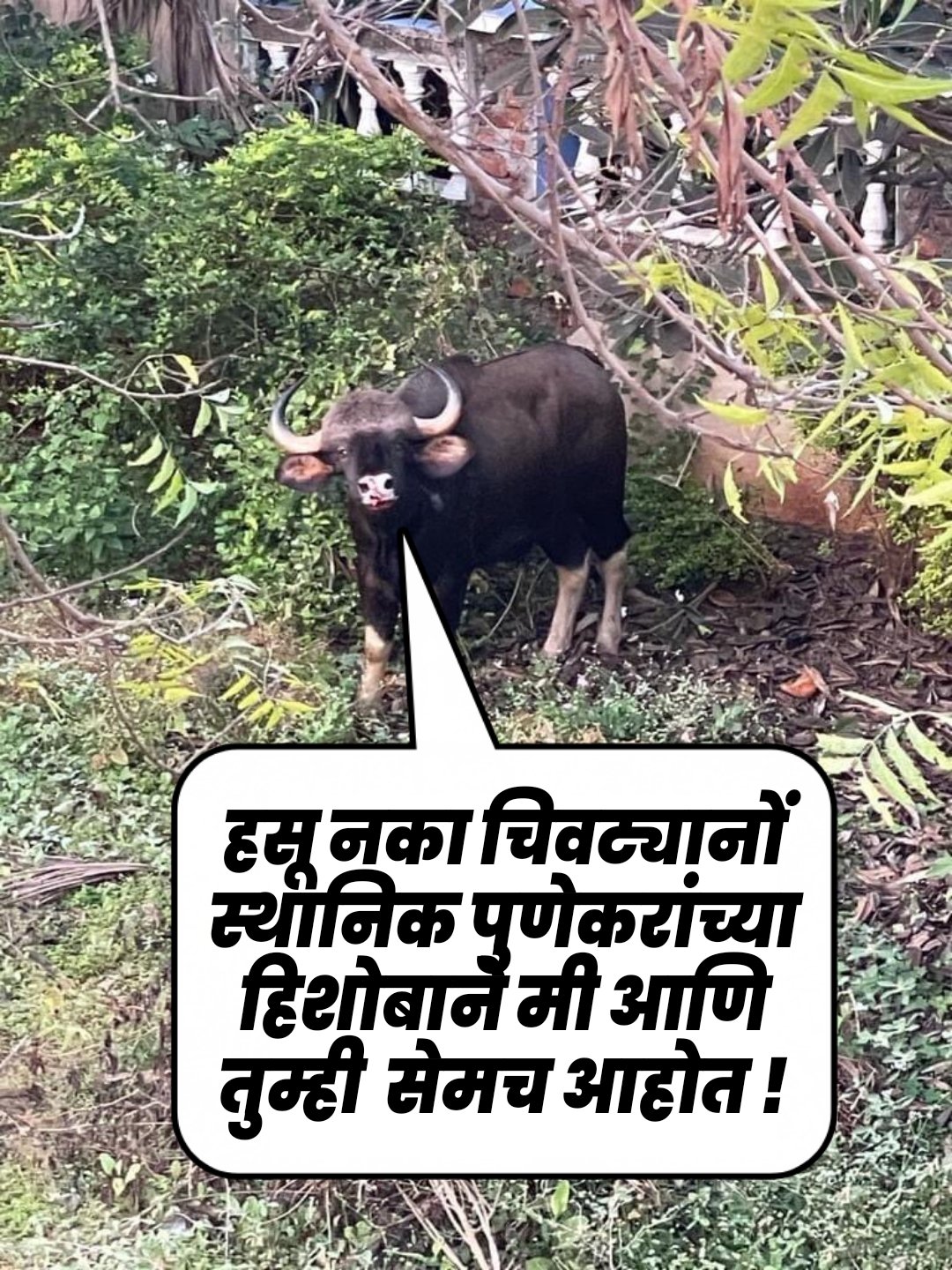 रानगवा गर्दीच्या दिशेनं बघताना दिसत आहे.