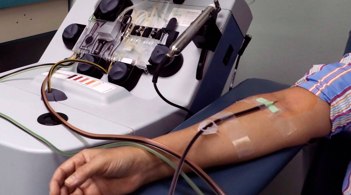 What is plasma therapy? : जगभरामध्ये करोनावर मात करण्यासाठी औषधे आणि लसीचा शोध सुरु असतानाच प्लाझमा उपचार पद्धती ही करोनावर परिणामकारक असल्याचं दिसून आलं. त्यामुळेच ही पद्धत नक्की काय आहे हे जाणून घेण्यात भारतीयांनी रस दाखवला.