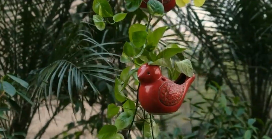 अनेक बारीकसारीक गोष्टींकडे विशेष लक्ष देण्यात आलं आहे. हा फोटो याच ऑफिसमध्ये ठेवण्यात आलेल्या कुंड्यांमधील झाडांचे सौंदर्य वाढवण्यासाठी केलेलं प्रयत्न दाखवतो.