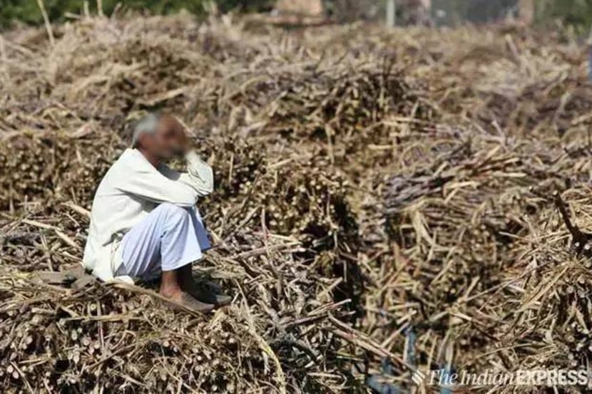 प्रातिनिधीक छायाचित्र/इंडियन एक्स्प्रेस