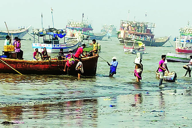 बेटावर असलेल्या ऐतिहासिक किल्लय़ावरून बेटाला अर्नाळा किल्ला गाव हे नाव पडले आहे.