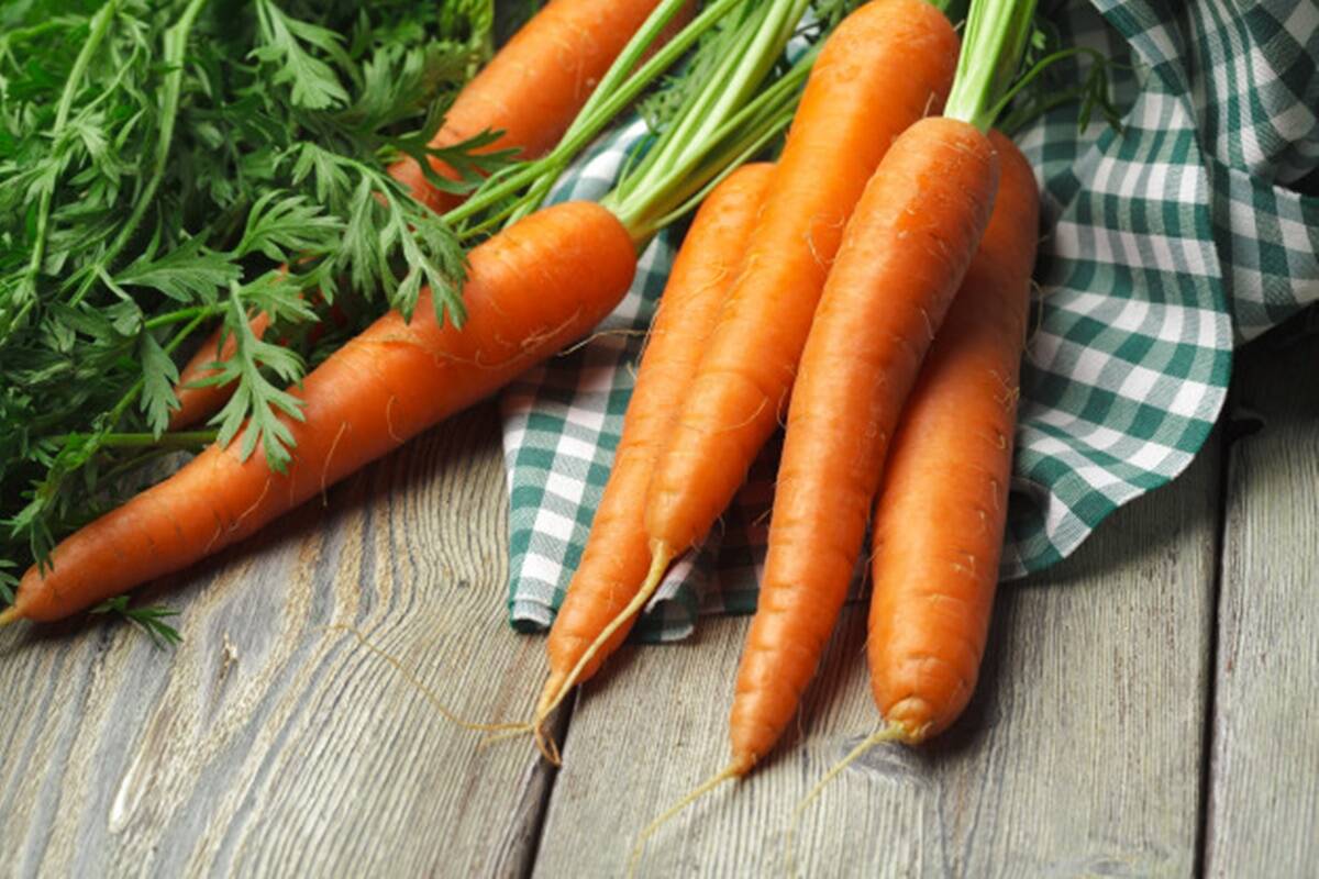 गाजराचं सेवन केल्यानं शरीरात ऊर्जा टिकून राहण्यास मदत होते. त्यामुळे शक्ती टिकून राहते आणि आपण अधिक कार्यक्षम होतो.