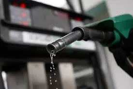 भारताच्या शेजरी देशांबद्दल बोलायचं झाल्यास पाकिस्तानमध्ये एक लीटर पेट्रोलसाठी ५१.१४ रुपये मोजावे लागत आहेत.