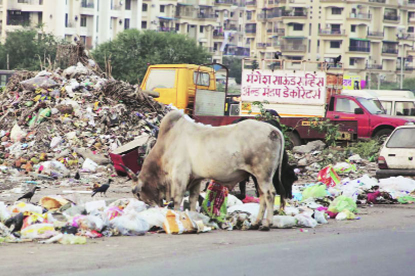 नावापुरती बीआरटी, नित्याची वाहतूककोंडी