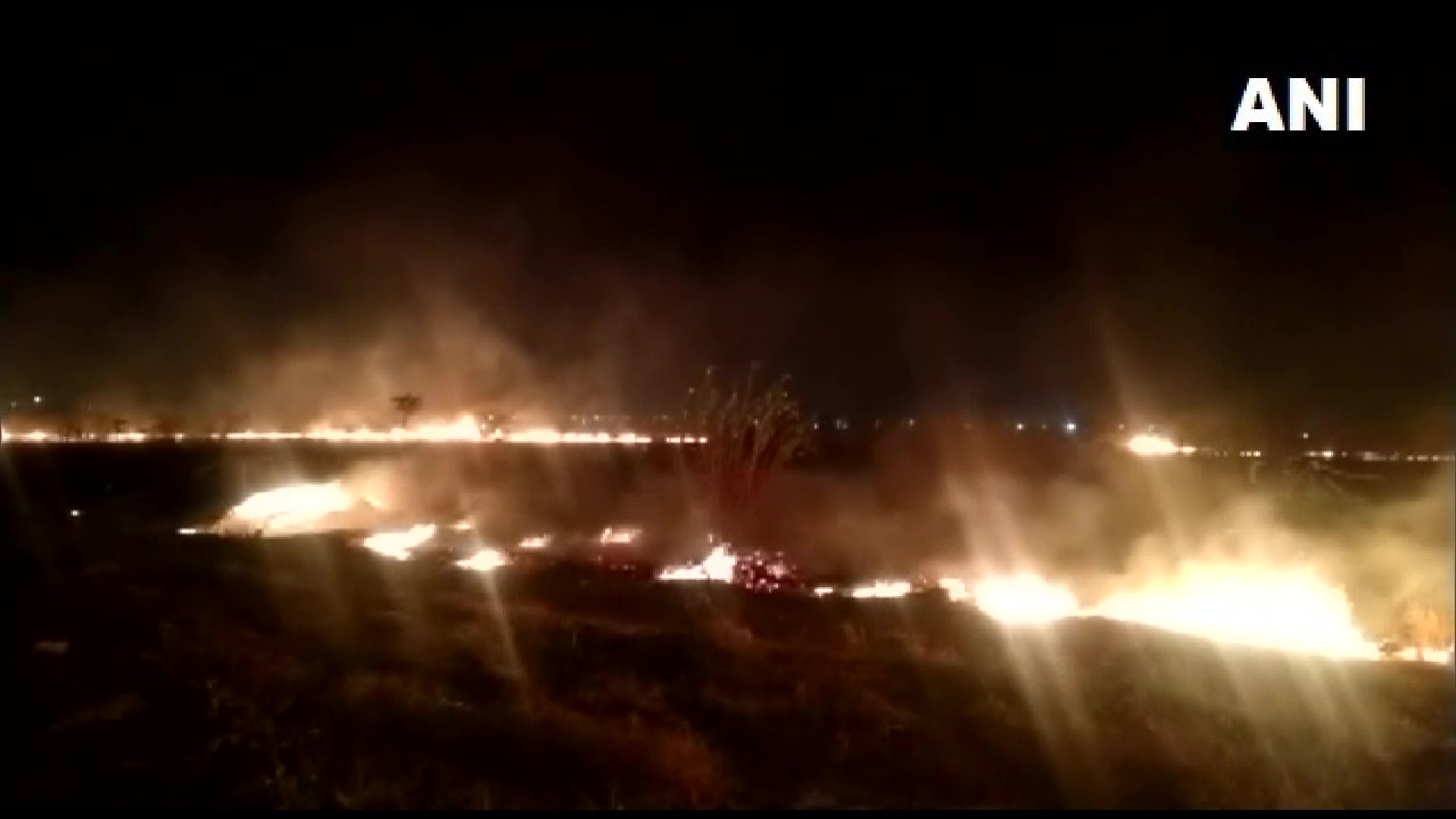 महाराष्ट्रातील सोलापूर विमानतळाच्या आजूबाजूला असणाऱ्या गवताळ भागात मंगळवारी मध्यरात्रीनंतर अचानक आग लागली. (फोटो सौजन्य: एएनआय)